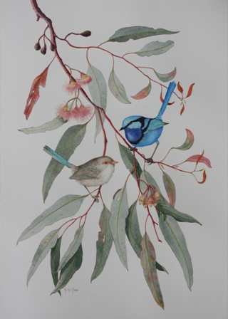 Halina Steele image